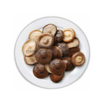 Alimentos saudáveis ​​Shiitake enlatado cogumelo